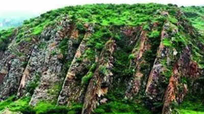 Aravali safeguard NCZ set to stay in NCR Plan 2041 after years of debate | India News