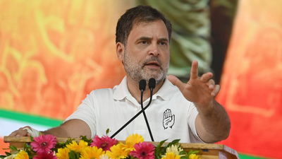 Rahul Gandhi to launch youth outreach in Prayagraj against paper leaks, exam irregularities | India News