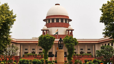 ‘You are nobody’: SC rebukes ‘so-called RTI activist’, refuses anticipatory bail | India News