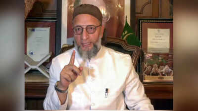 ‘By 2030, only one document …’: Owaisi takes dig at BJP after MEA’s ‘proof of citizenship’ remark | India News