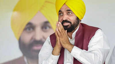 Punjab Aims to Be India’s Startup Capital: Bhagwant Mann’s Vision | India News