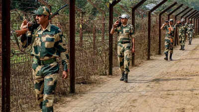 Borders to get anti-drone walls to curb arms & drugs smuggling | India News