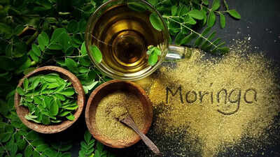 Dharmapuri farmers drum up profits with moringa | India News