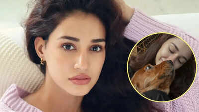 Disha Patani: ‘You taught me what love is’: Disha Patani mourns death of pet dog Bella, calls her ‘soulmate’ |