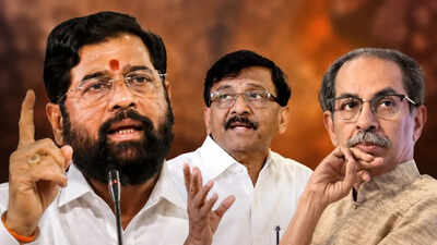 Rs 50 crore each? Meet 6 MPs who could decide the fate of Uddhav Thackeray’s Shiv Sena | India News