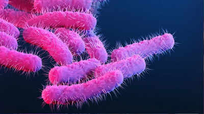 Shigella toll rises in Kerala: Seven-year-old fourth victim this year | India News