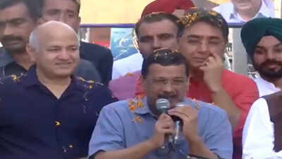 Punjab: Kejriwal, CM Mann hold roadshow in Sohna village; AAP chief appeals for continued mandate | India News