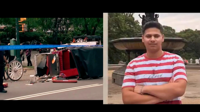 ‘Romanch’s Law’: NYC bill which seeks to ban horse carriages named after Indian teen | India News