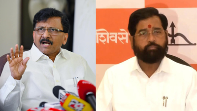 ‘Kuch log…’: Sanjay Raut counters Eknath Shinde’s ‘sher akela aata hai’ remark with loyal dog post | India News
