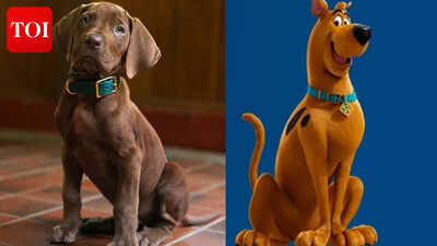 ‘Scooby-Doo’ live-action series unveils First Look; fans of iconic character divided over casting ‘real’ pup – WATCH |