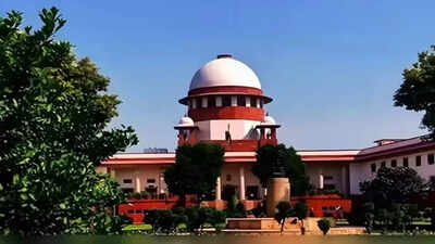 For deserting mom, man gets earful from Supreme Court | India News
