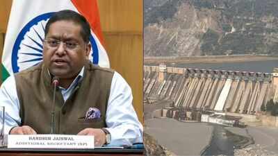 ‘Pakistan must stop backing terror’: India says Indus Waters Treaty ‘in abeyance’; conveys views on Teesta to Bangladesh | India News