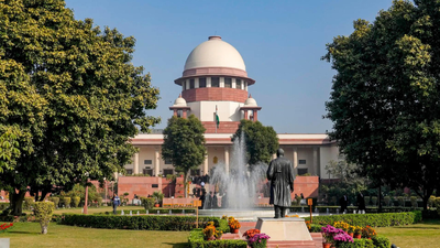 Spouse accused of adultery can’t invoke right to privacy, says SC | India News