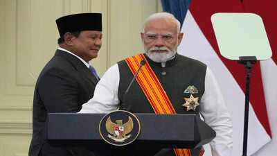 PM seeks UNSC reforms, inclusive development in Indonesia Parliament address | India News