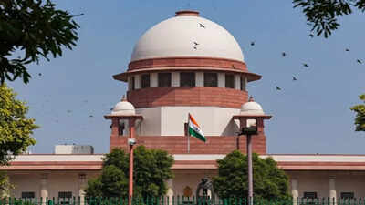 TN in SC for quota benefits to Muslim convert | India News