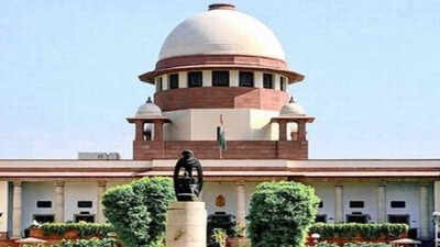 SC: Even a snail can question pace of trials | India News