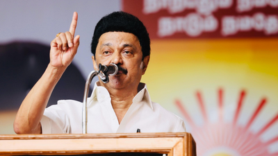 DMK open to talks on delimitation bill ‘if Tamil Nadu interests not hurt’ | India News