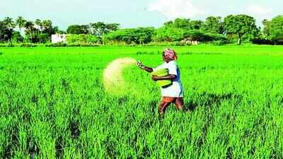 Global urea prices ease after May spike, fall 40% in June | India News