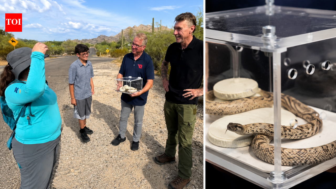 Retired police officer discovers an exceptionally rare white rattlesnake in Arizona, “once-in-a-lifetime” find | World News
