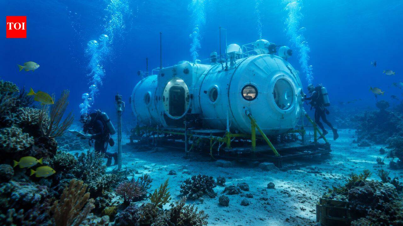 Florida gets its first underwater research habitat in around 40 years, where scientists will soon live beneath the ocean | World News