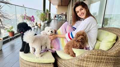 Inside Kriti Sanon’s duplex sea-facing penthouse worth Rs 78 crore, which has a clubhouse, yoga desk, swimming pool and more | Hindi Movie News