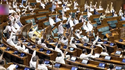 ‘Clock it’, ‘delulu’: How Gen Z lingo took over Parliament during anti-paper leak Bill debate | India News