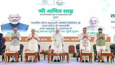 Govt to form cooperative life insurance company: Amit Shah | India News