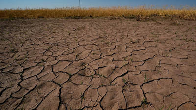 WMO warns rapid development of El Nino during July-Sept; government reviews the situation of rainfall deficit | India News
