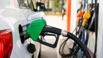MPs ask why govt didn’t inform owners of non-E20 vehicles about mileage loss | India News