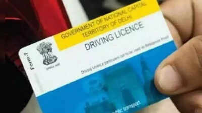 DL applications, RC updates among 100 transport services available online | India News