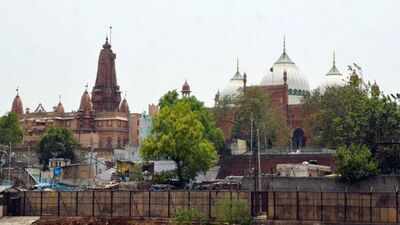 Shri Krishna Janmabhoomi-Shahi Idgah dispute: Hindu side attends Lok Adalat, proposes relocation of mosque | India News