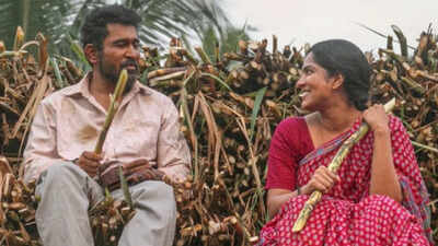 ‘Nooru Saami’ OTT release date confirmed: When and where to watch Vijay Antony and Swasika’s emotional drama |