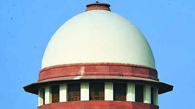 SC to examine plea to ease green-cracker ban | India News