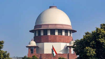 Petitioner hurls papers, ‘orders’ SC to file FIR | India News