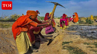 New rural employment scheme prioritises water security works | India News