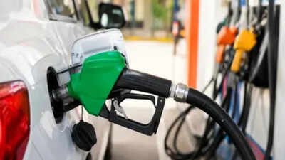 Why Ethanol Isn’t the Solution for India’s Energy Needs | India News