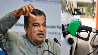 ‘Vile, abusive’: Bombay HC orders takedown of fake posts targeting Gadkari over E20 ethanol row | India News