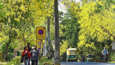 CAG finds 98% shortfall in Green India Mission forest cover targets, red-flags multiple lapses