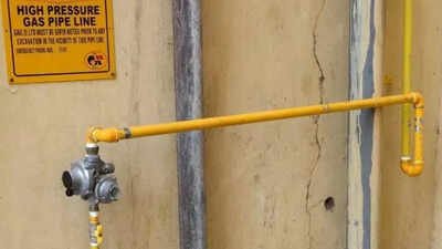 Govt announces scheme to incentivise gas companies to expand PNG network | India News