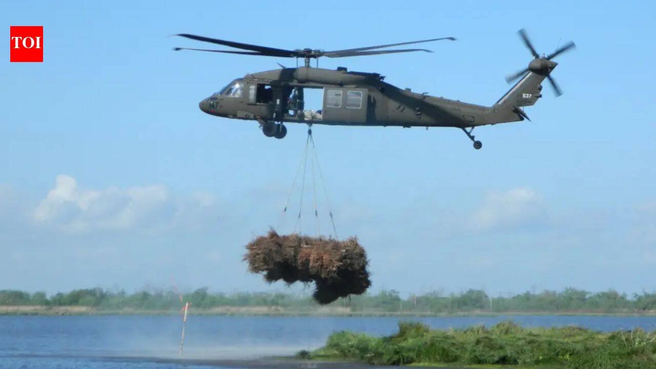 New Orleans: New Orleans collected 9,000 discarded Christmas trees and airlifted them into coastal wetlands; the programme has restored marsh equal to nearly 200 football fields