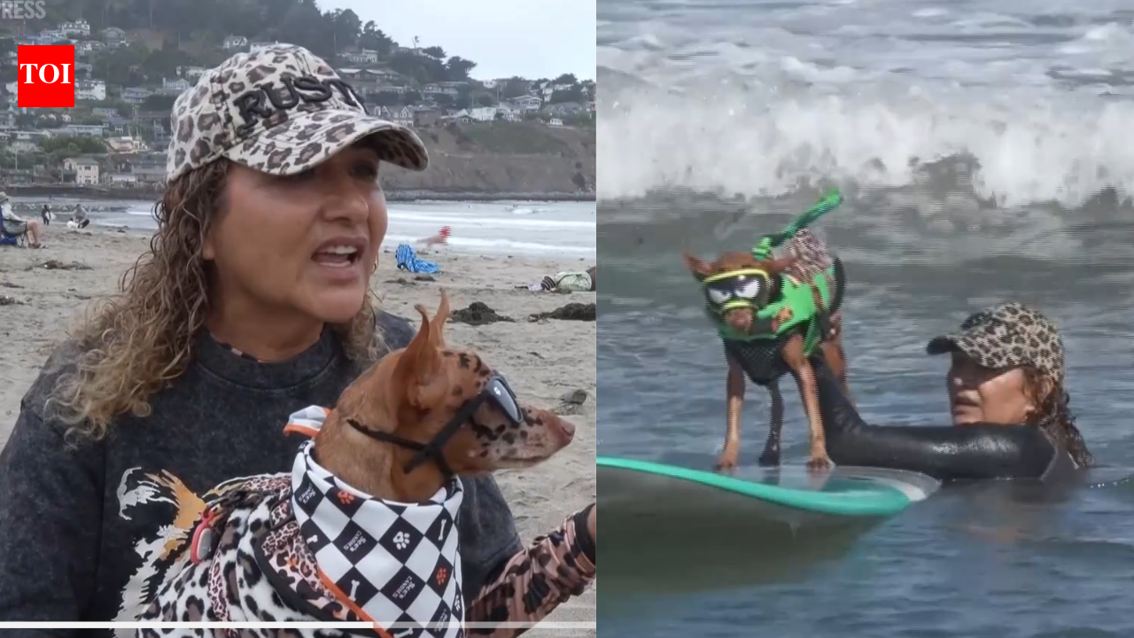 From cancer survivors to surfing stars: California woman and her dog beat cancer before competing together at the World Dog Surfing Championships | World News