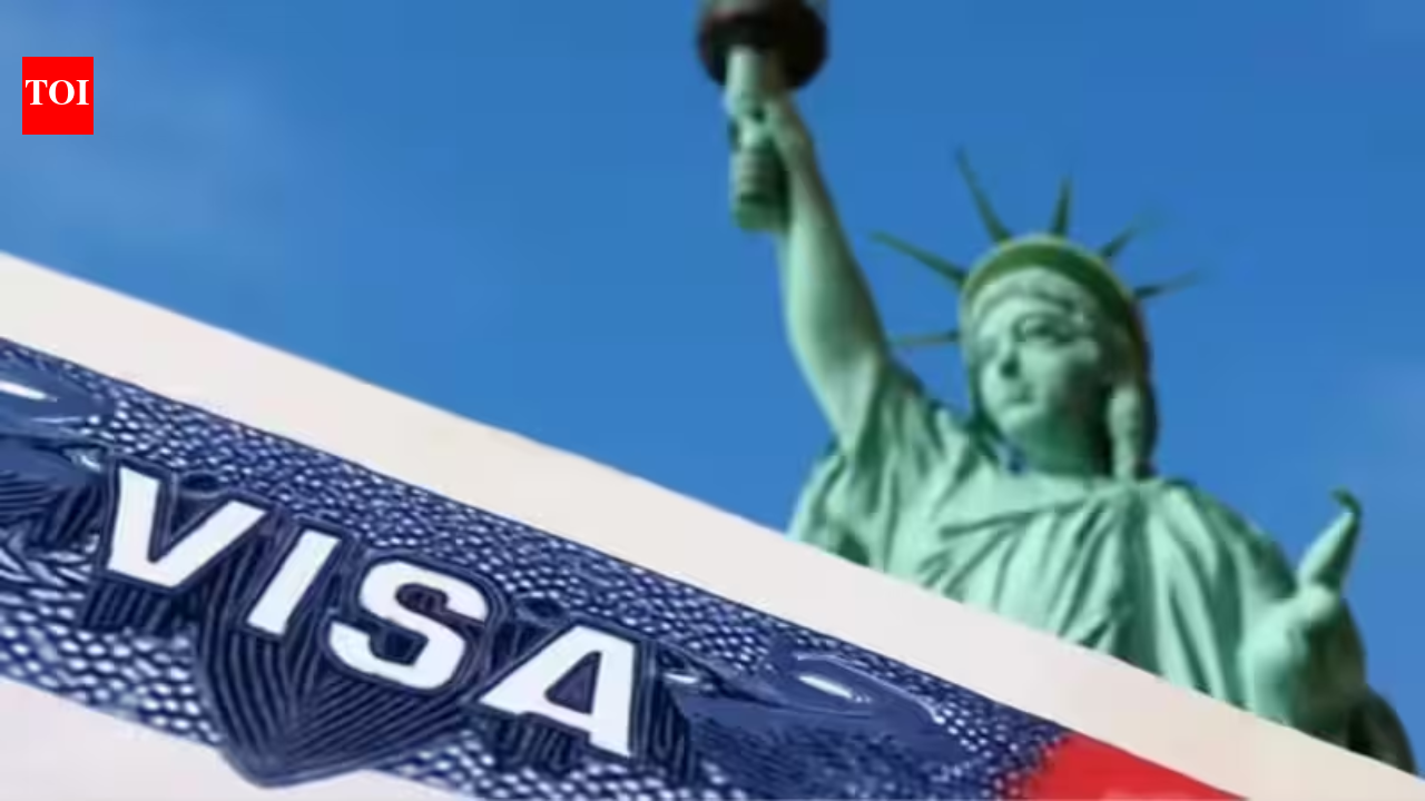 US student visas for Indians drop 62%; CIS report urges scrapping of OPT programme | World News
