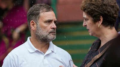 Need to seal alliance deal with SP soon for UP polls, MPs tell Congress leadership | India News