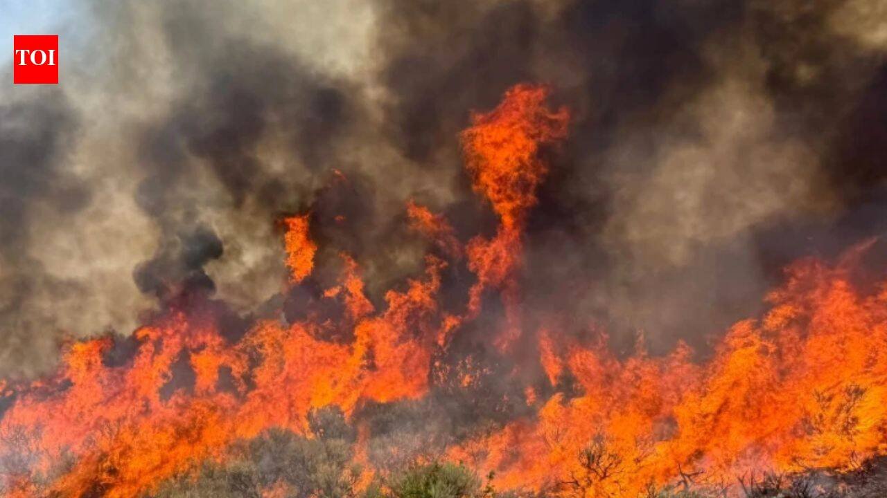 Utah wildfire: Helicopter carrying 2 crashes while fighting massive blaze, sparks new fire