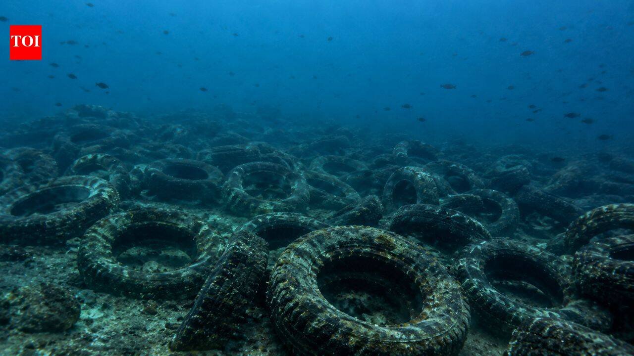 Florida dumped millions of tyres into the ocean to build a reef. More than 50 years later, it is still cleaning them up | World News