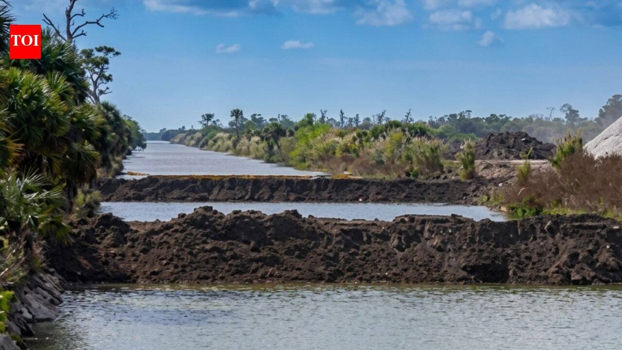 Florida: In the 1960s, Florida drained land for a giant subdivision; in 2026, restoration finished after removing 260 miles of roads and plugging 48 miles of canals across 55,000 acres