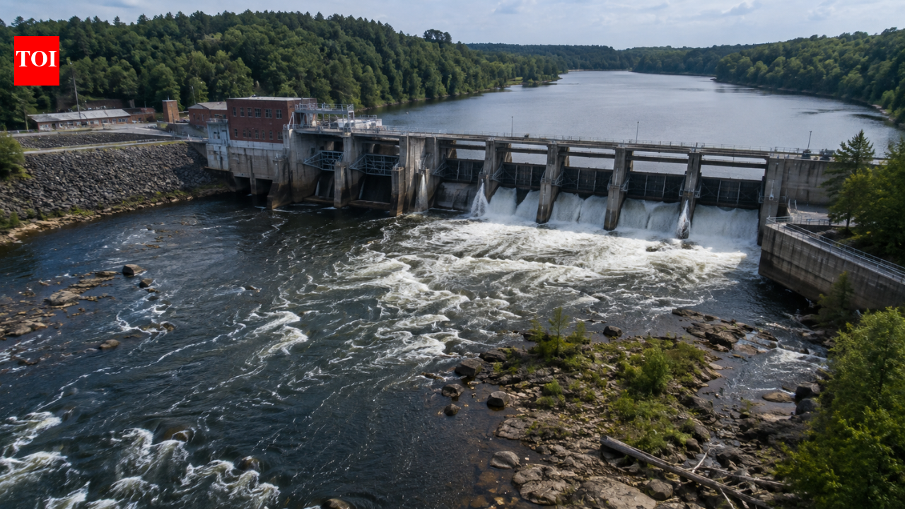 Hydroelectric Power Generation: North Carolina dam tested three water flows for 20 years, and scientists found the level that protects river wildlife while keeping more water for power | World News