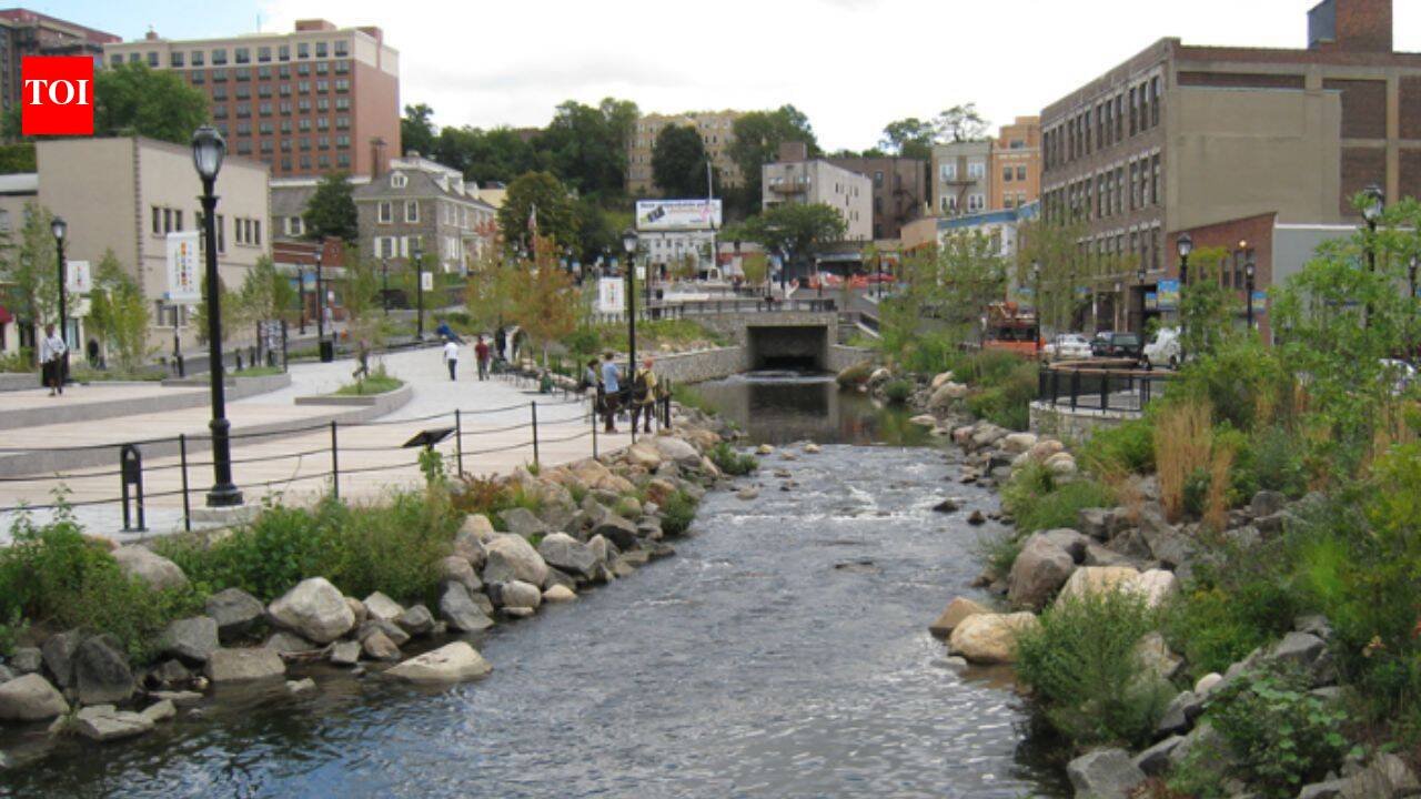 River: In 2012, Yonkers tore up a downtown parking lot to uncover a river buried for decades; within six months it had created 14,000 sq ft of aquatic habitat