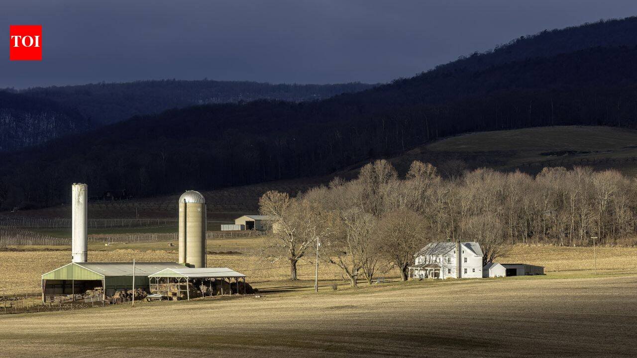 With a massive 242,000 acres, Bill Gates is the largest private farmland owner in the United States | World News