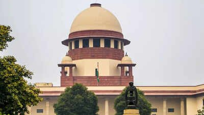 Supreme Court says only 12-15 cases for each UAPA court